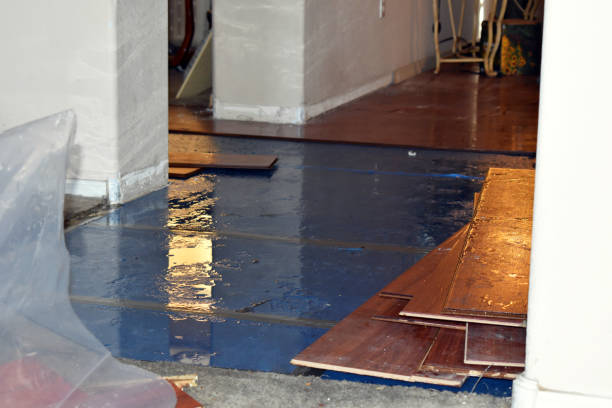 Professional Sewage Cleanup technician working in Edmond, WV
